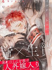 幸福花园动漫在线观看-纸鸢物语封面